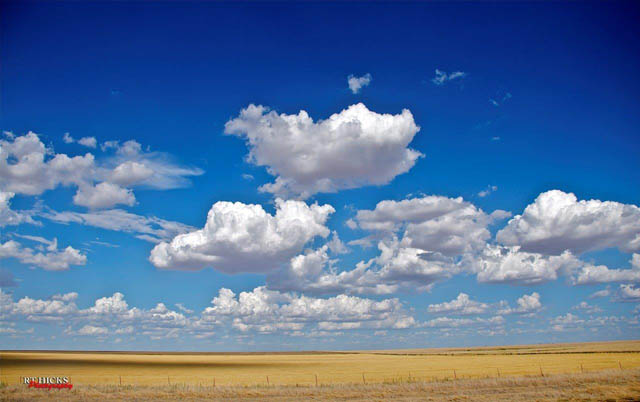 Amarillo, Texas